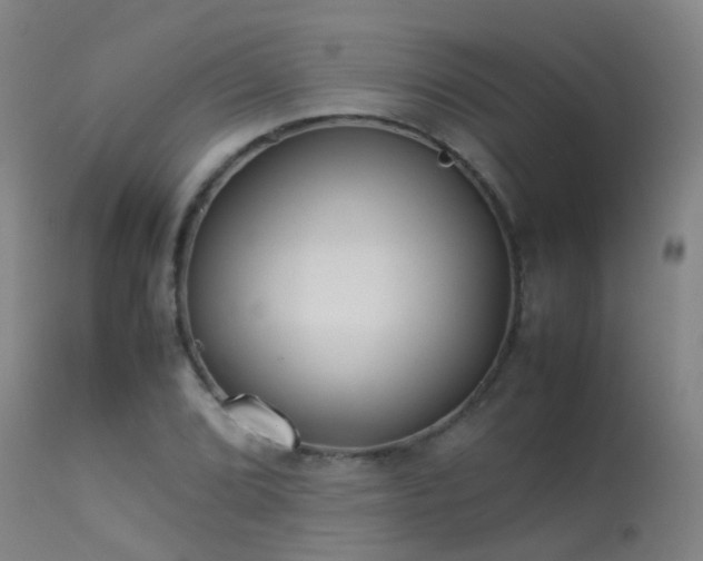 X0000113331072200909211214
