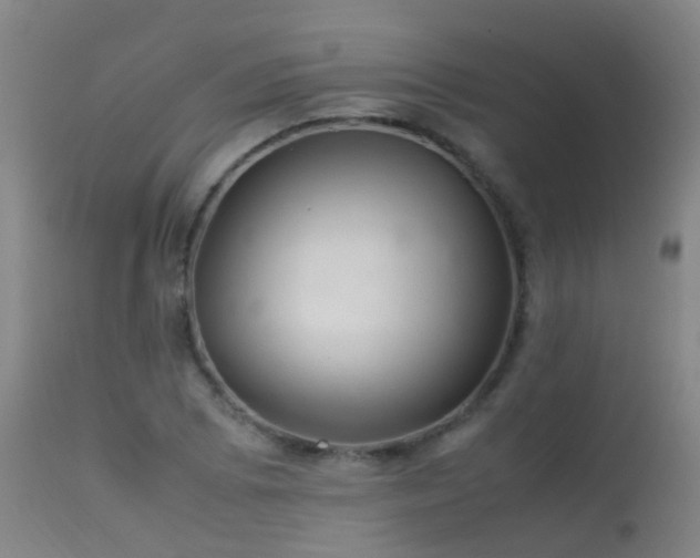 X0000113331073200909211214