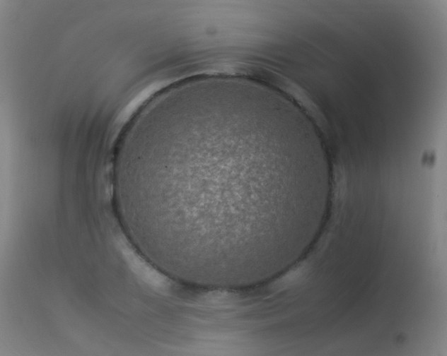 X0000113331075200909211214