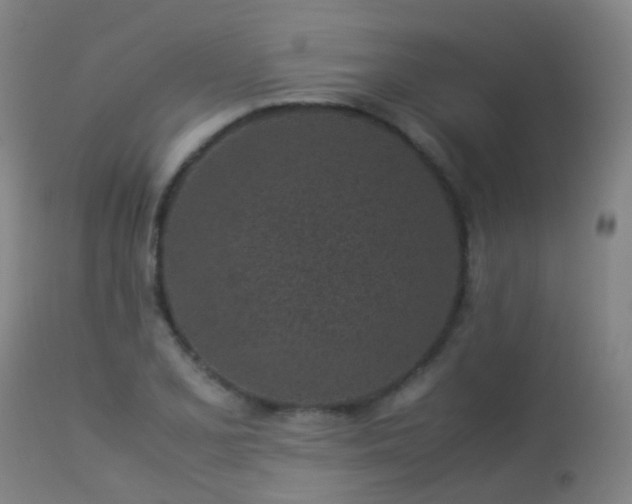 X0000113331077200909211214