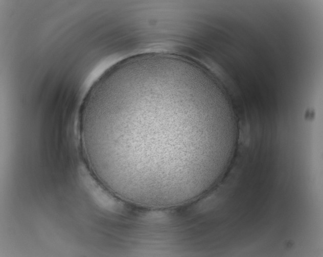 X0000113331078200909211214