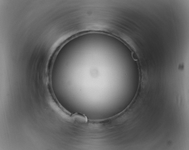 X0000113331080200909211214