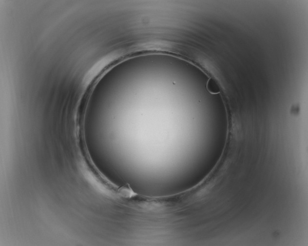 X0000113331082200909211214