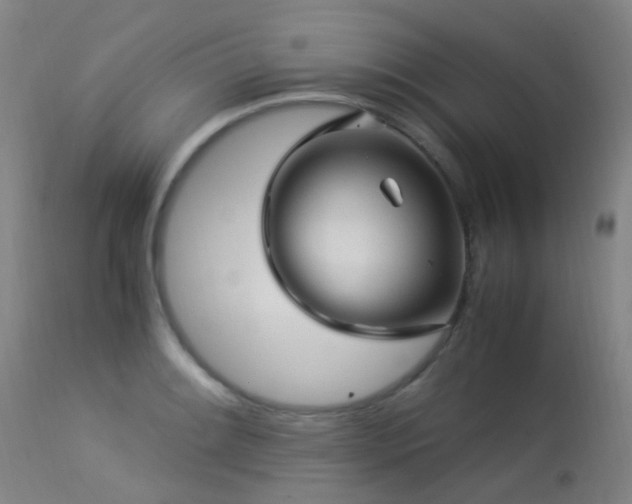 X0000113331084200909211214