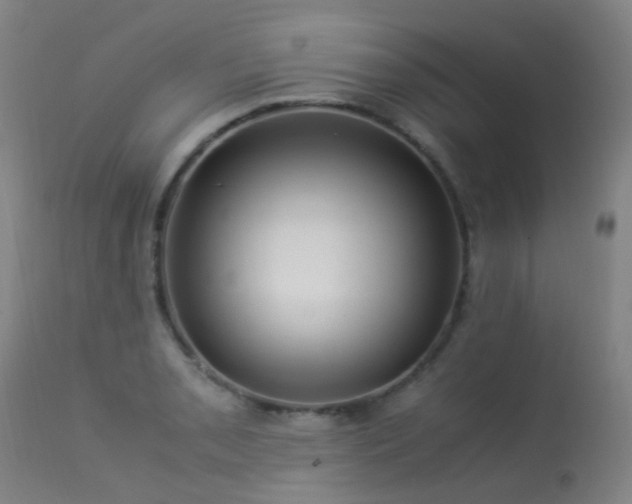 X0000113331085200909211214