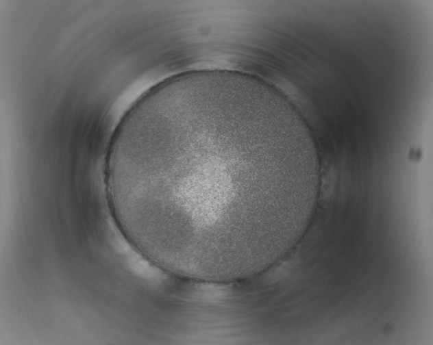 X0000113331086200909211214
