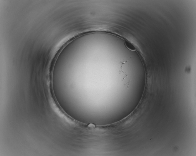 X0000113331088200909211214
