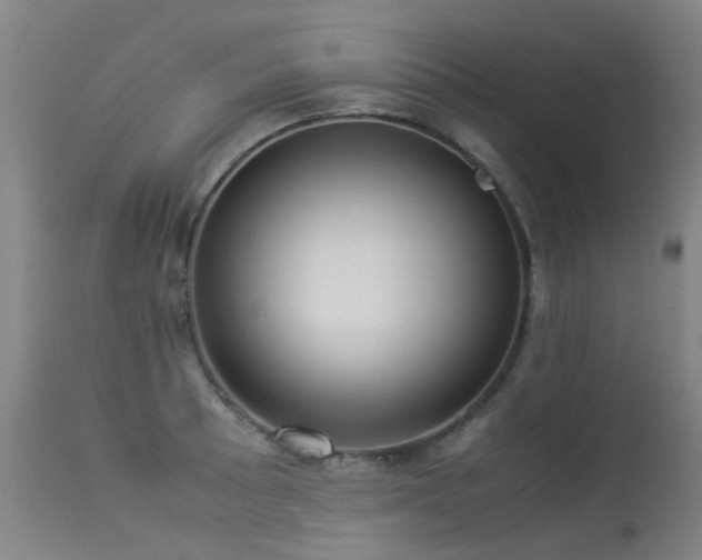 X0000113331089200909211214