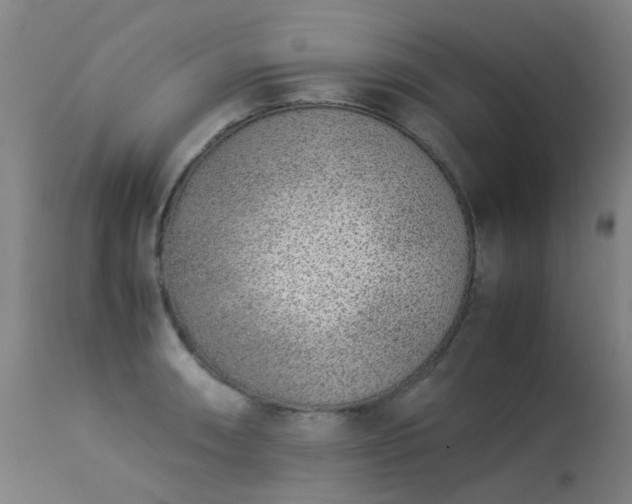 X0000113331090200909211214