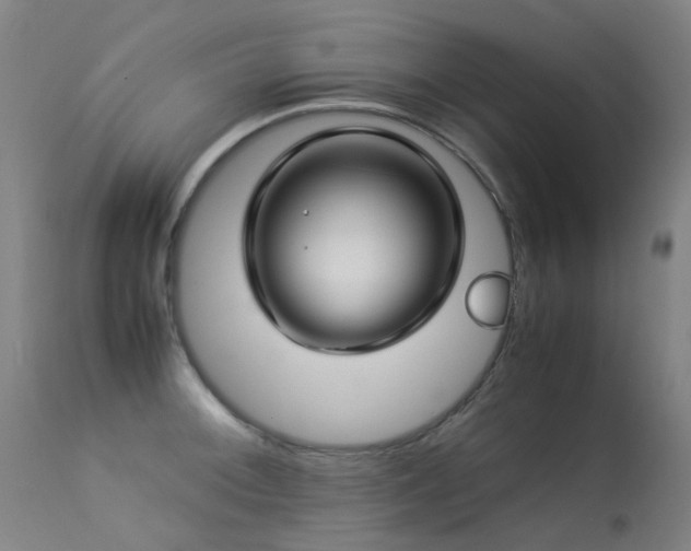 X0000113331092200909211214