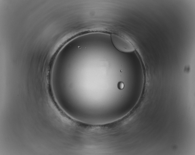 X0000113331093200909211214