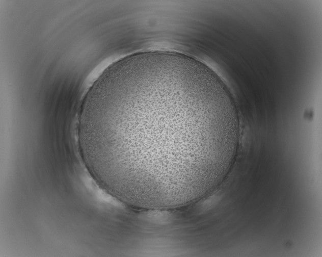 X0000113331094200909211214
