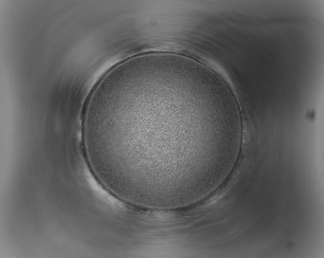 X0000113331095200909211214