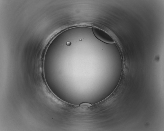 X0000113331096200909211214