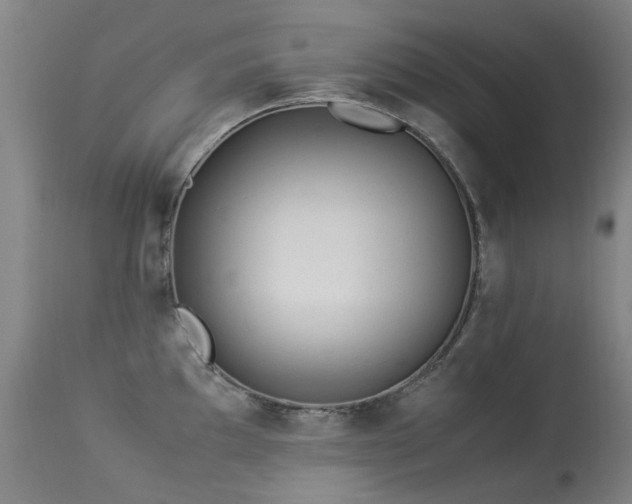 X0000113331097200909211214