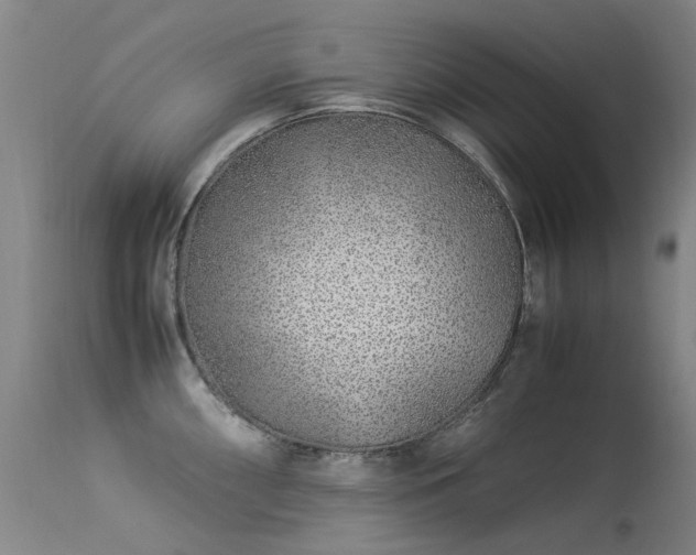 X0000113331098200909211214