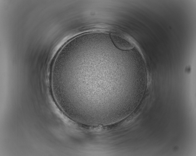 X0000113331099200909211214