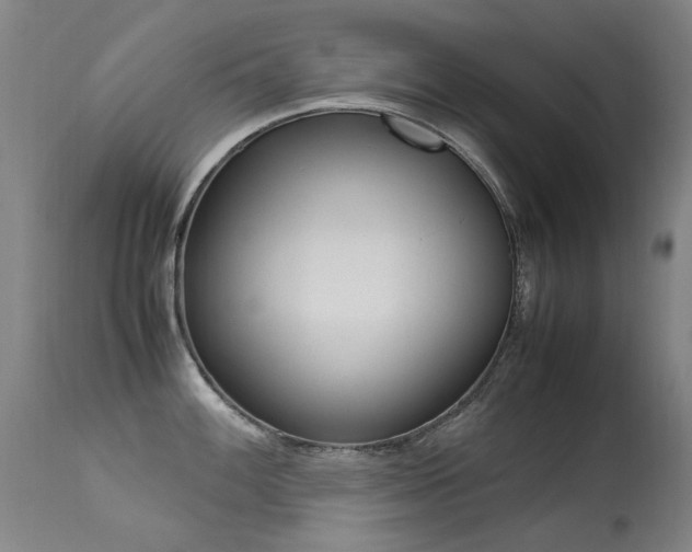 X0000113331100200909211214