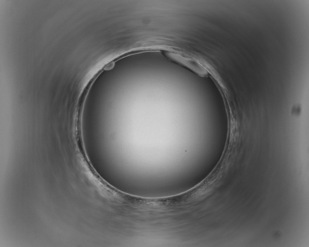 X0000113331101200909211214
