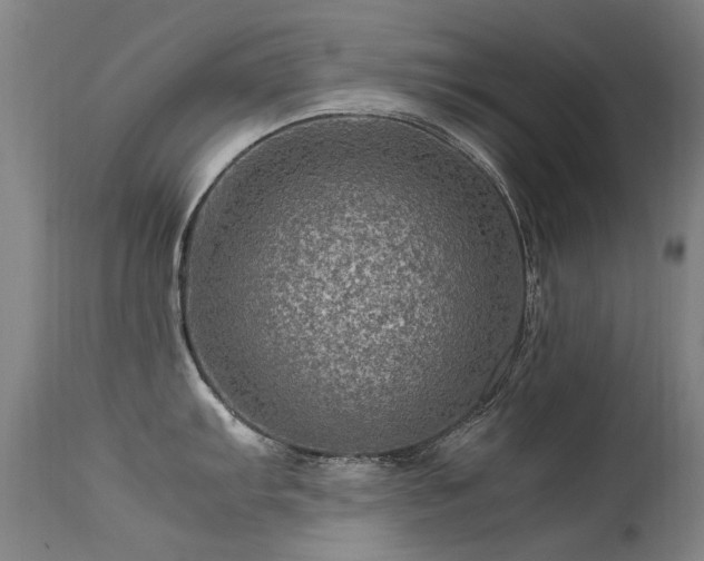 X0000113331103200909211214