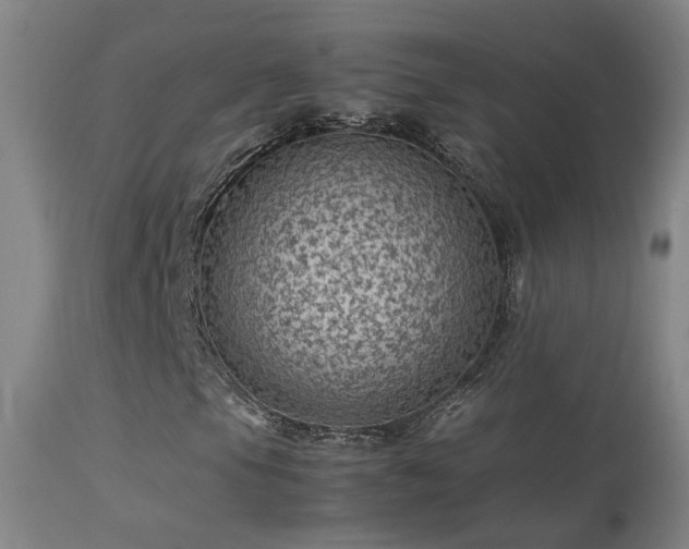 X0000113331105200909211213