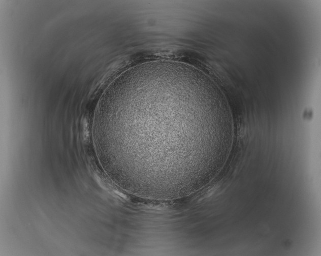 X0000113331106200909211213