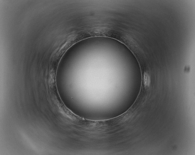 X0000113331107200909211213