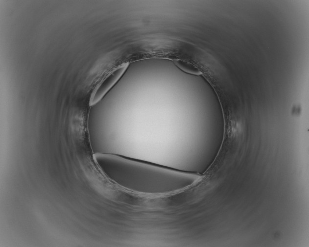 X0000113331108200909211213