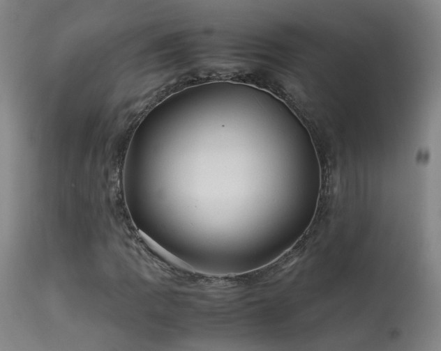 X0000113331109200909211213