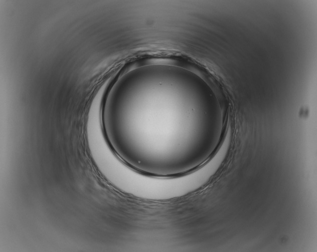 X0000113331110200909211213