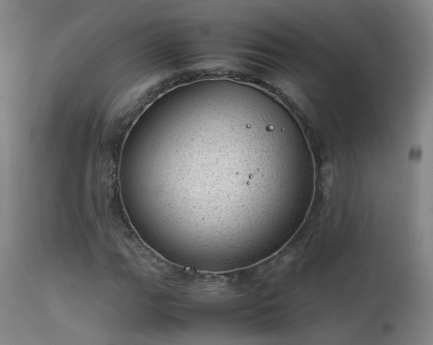 X0000113331111200909211213