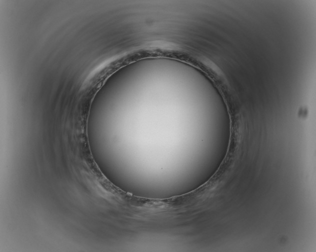 X0000113331112200909211213