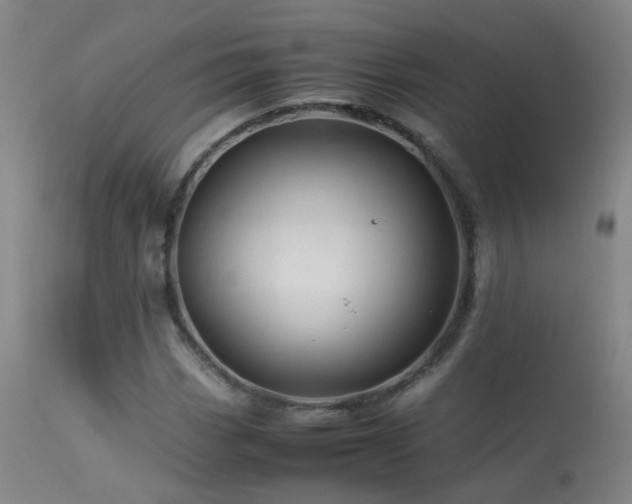 X0000113331113200909211213