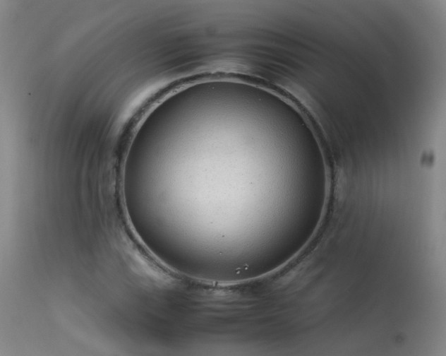 X0000113331115200909211213