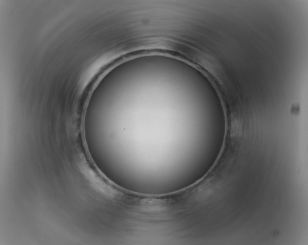 X0000113331116200909211213