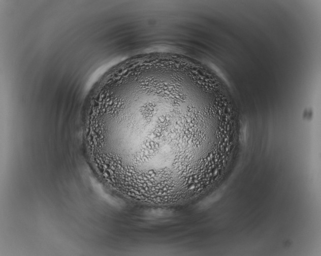 X0000113331117200909211213