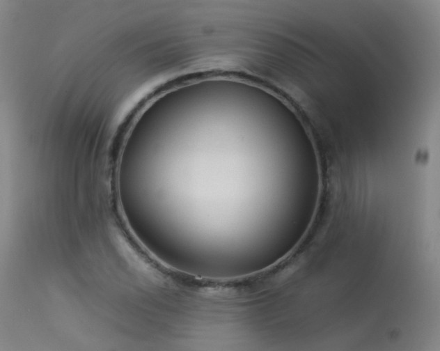 X0000113331118200909211213