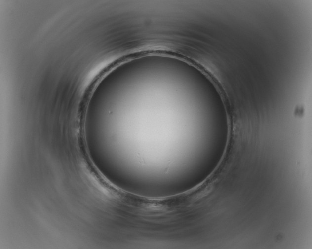 X0000113331119200909211213