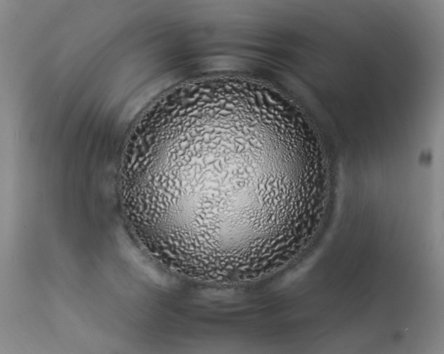 X0000113331121200909211213