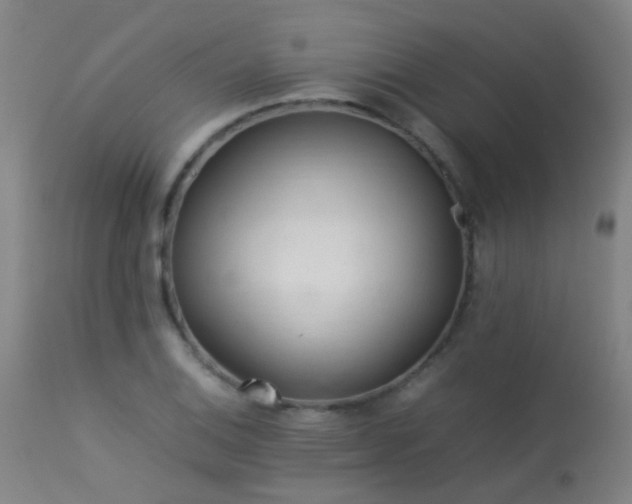 X0000113331124200909211213