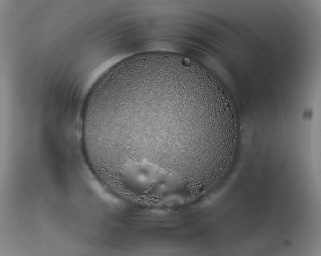 X0000113331125200909211213