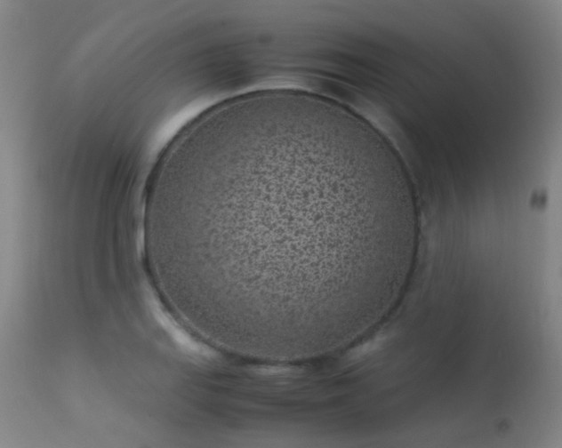 X0000113331127200909211213