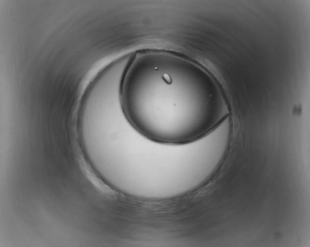 X0000113331128200909211213
