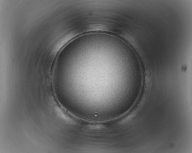 X0000113331129200909211213