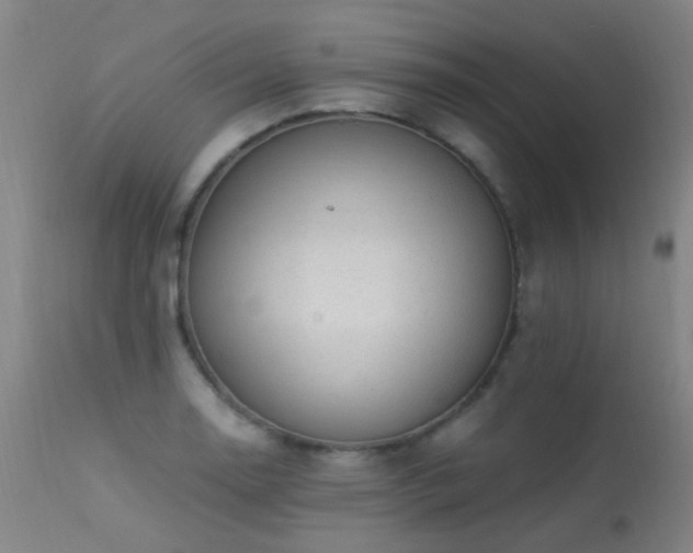 X0000113331130200909211213