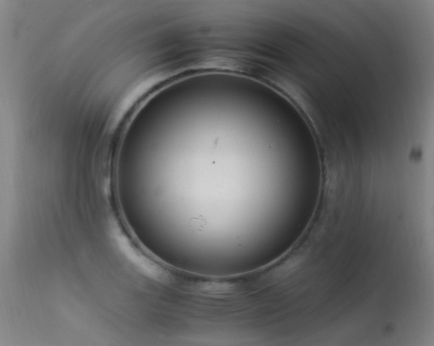 X0000113331131200909211213
