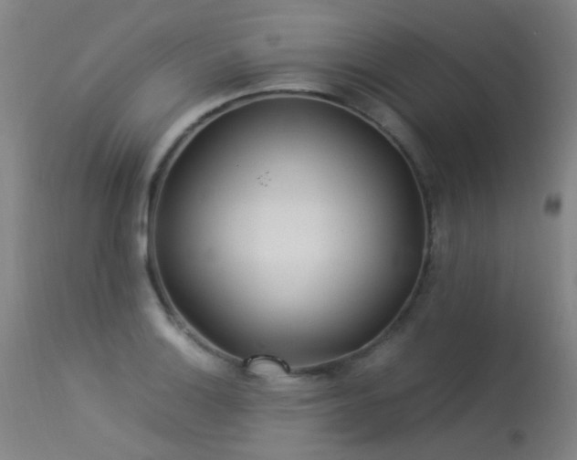 X0000113331132200909211213