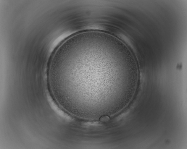 X0000113331133200909211213