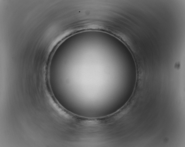 X0000113331134200909211213