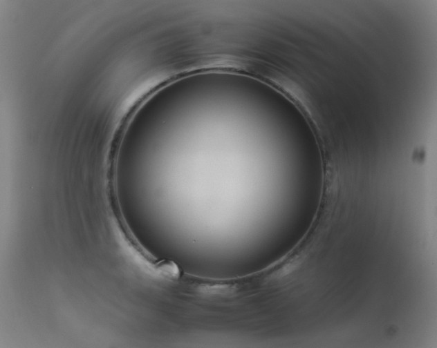 X0000113331135200909211213